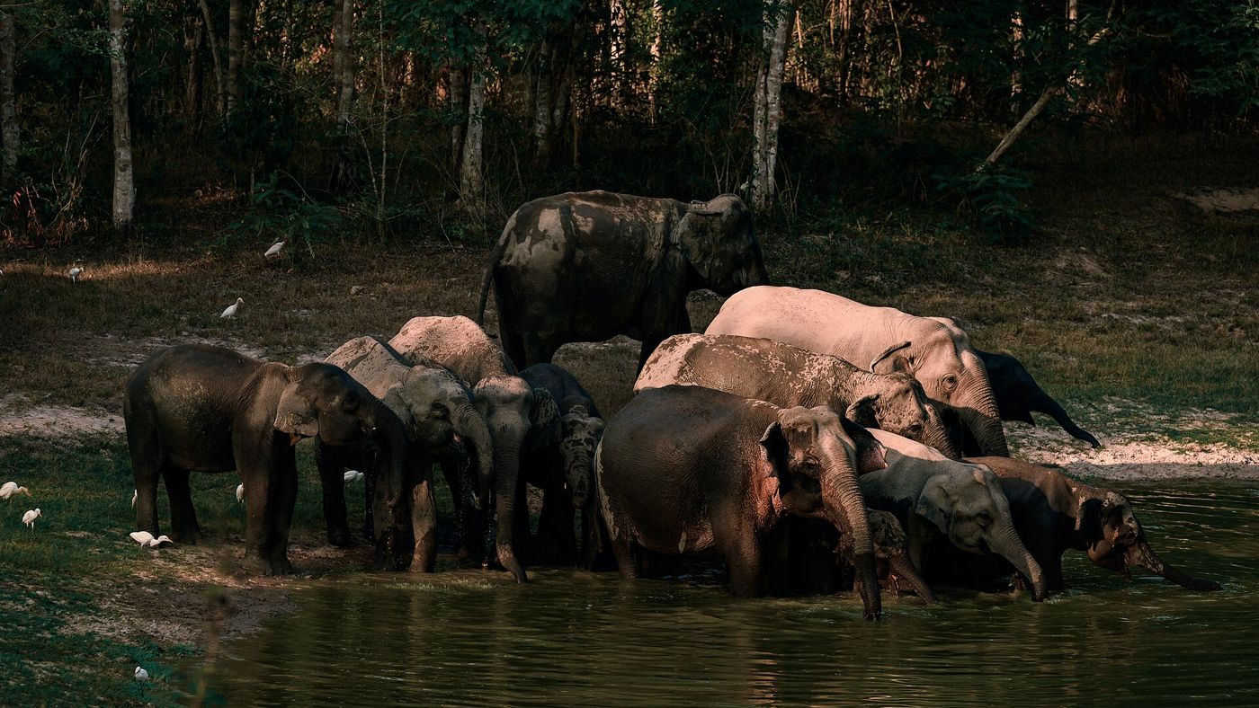 Kui Buri National Park